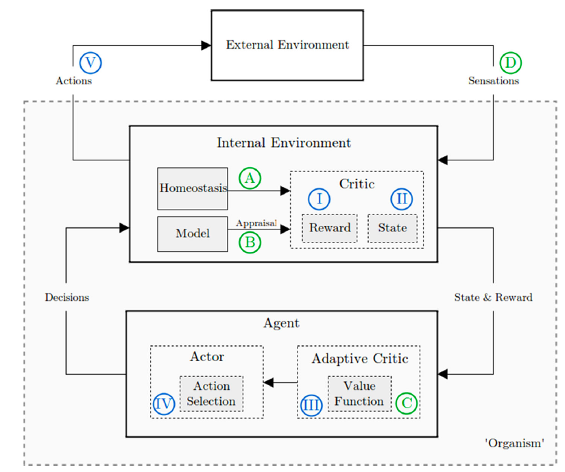 Reinforcement Learning with both intrinsic and extrinsic motivation